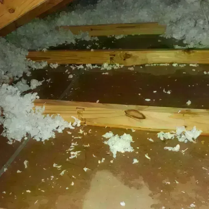 Attic Water Damage in Eastlawn Gardens, PA